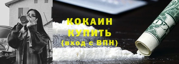 сатива Краснослободск