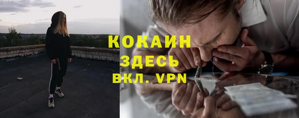 сатива Краснотурьинск