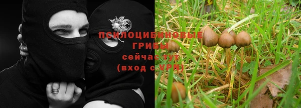 соль курить ск Кодинск