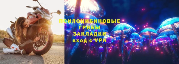 сатива Краснослободск