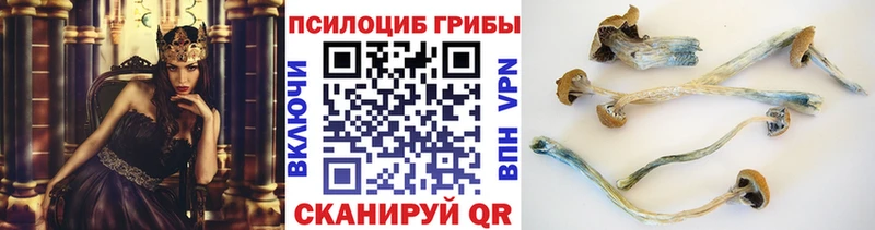 OMG маркетплейс Кирсанов Псилоцибиновые грибы ЛСД